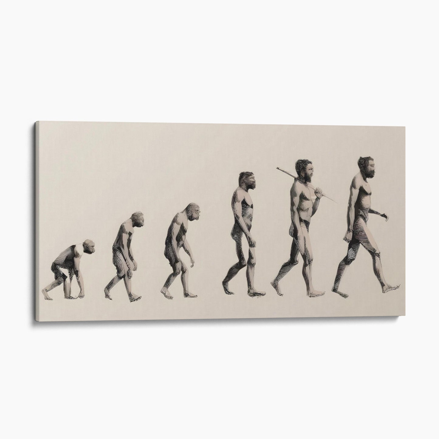 Progress of Human Evolution