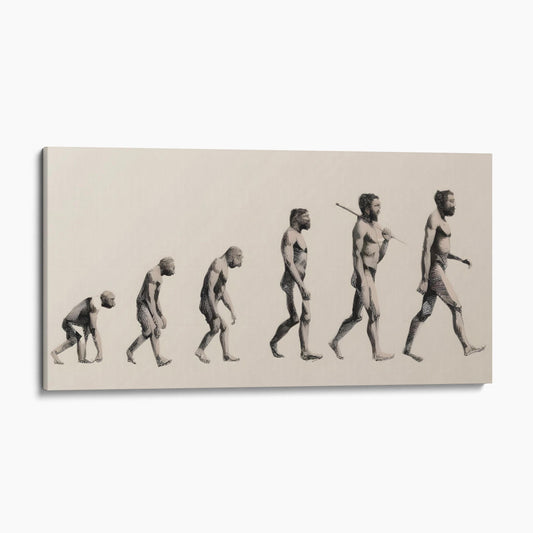 Progress of Human Evolution