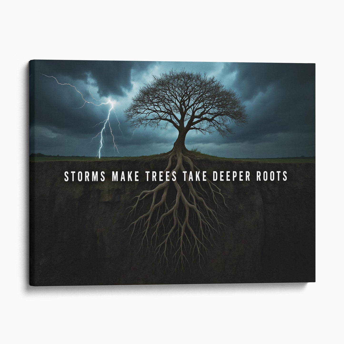 Storms Make Trees Take Deeper Roots