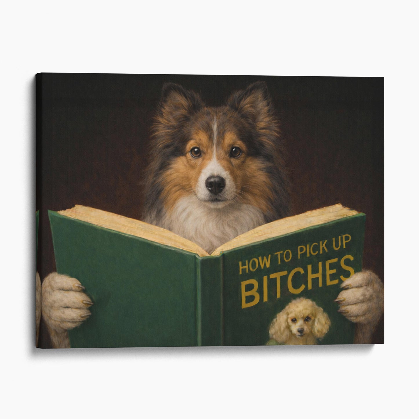Shetland Sheepdog Reading Dog Dating Book