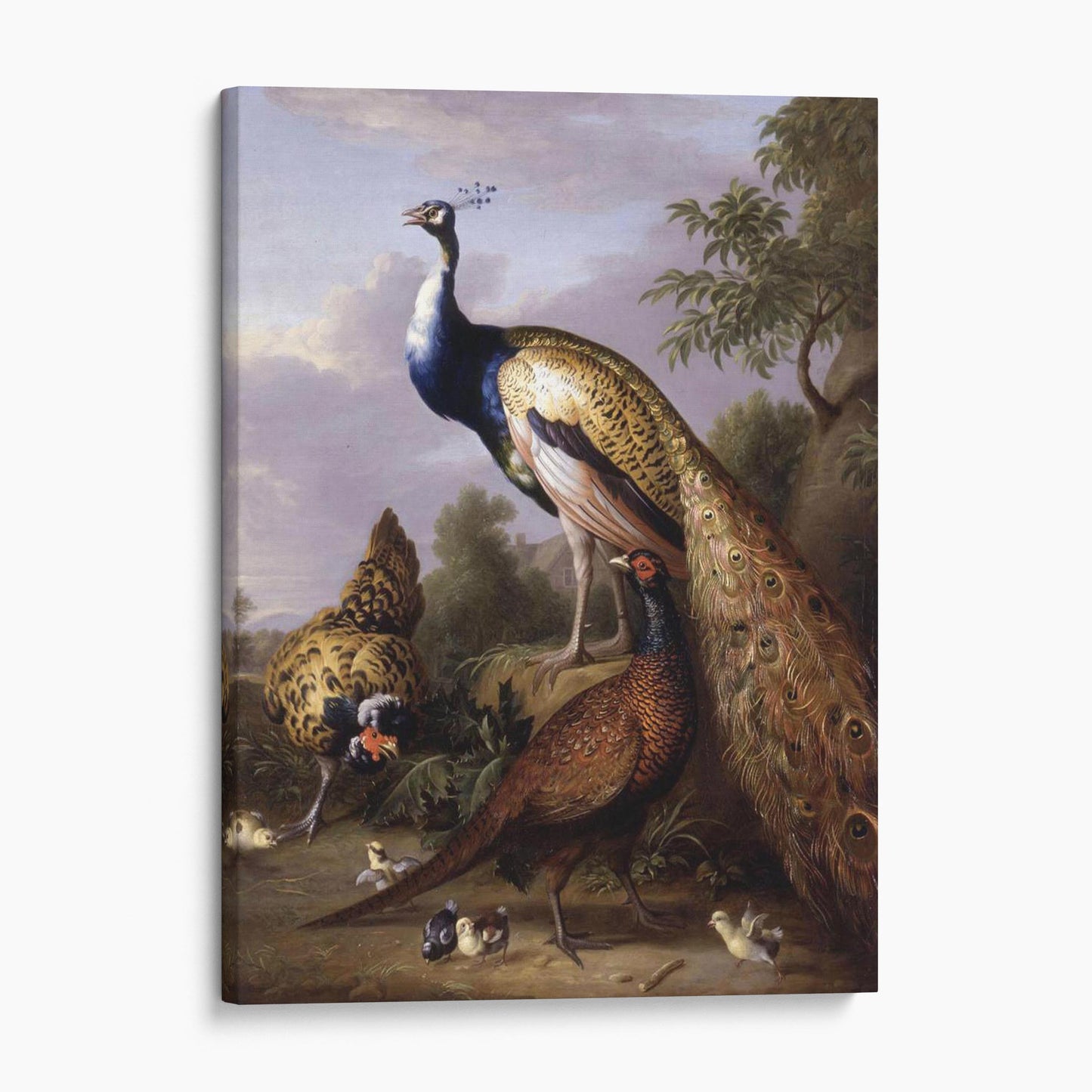 Peacock, Hen and Cock Pheasant in a Landscape - Tobias Stranover