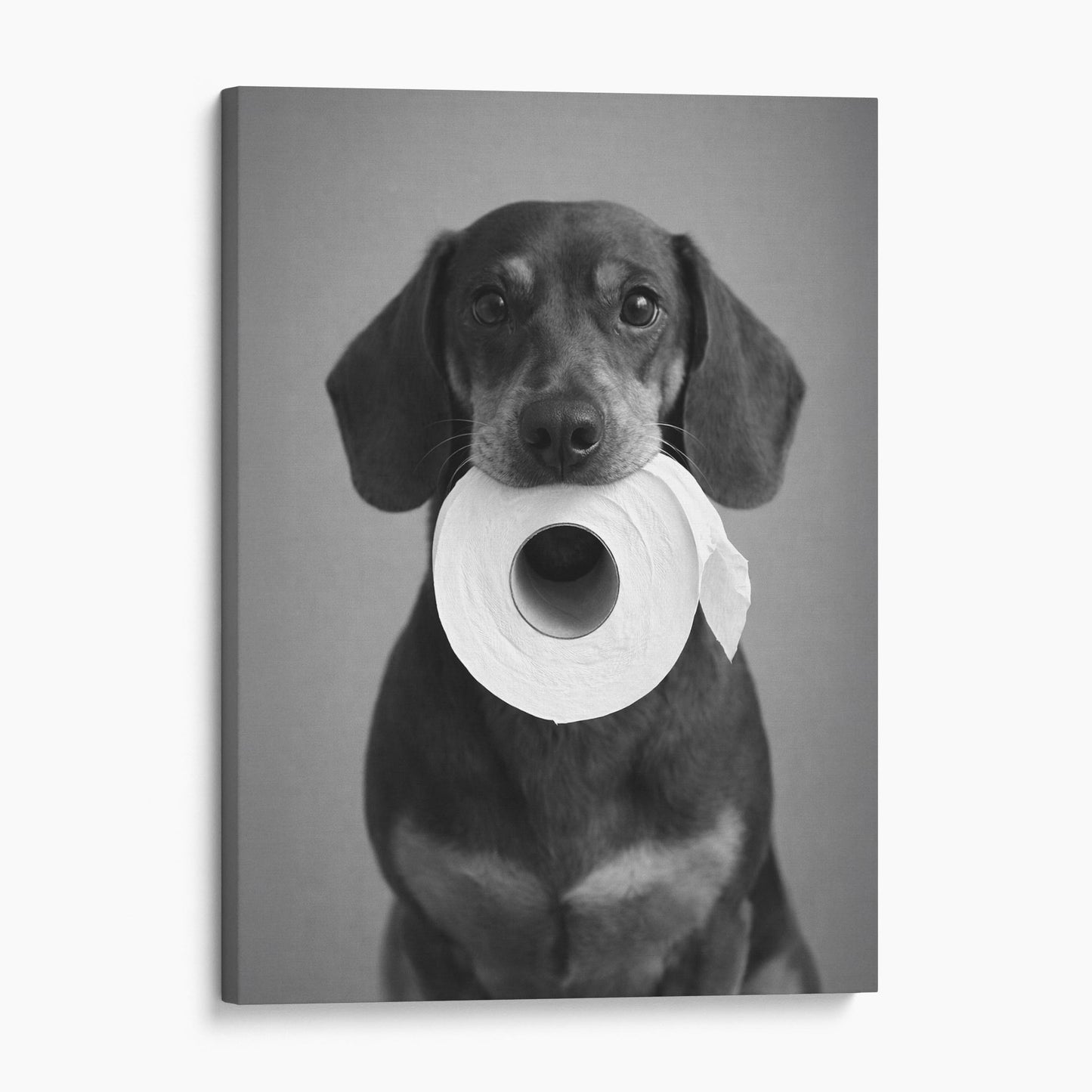 Dachshund Dog Toilet Paper