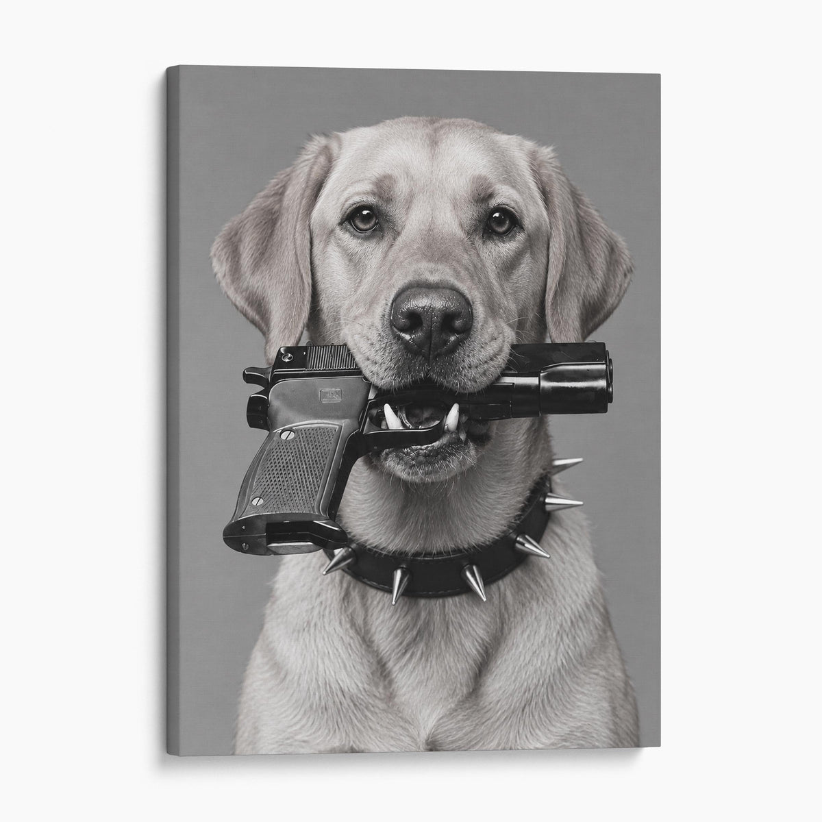 Yellow Labrador Gun In Mouth