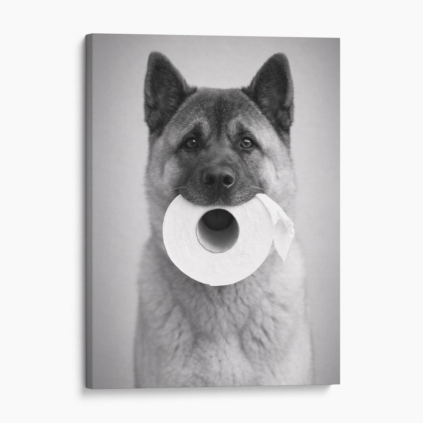 Akita Toilet Paper
