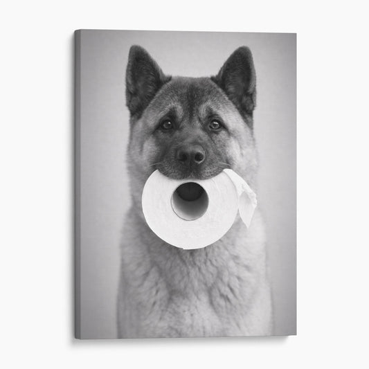 Akita Toilet Paper