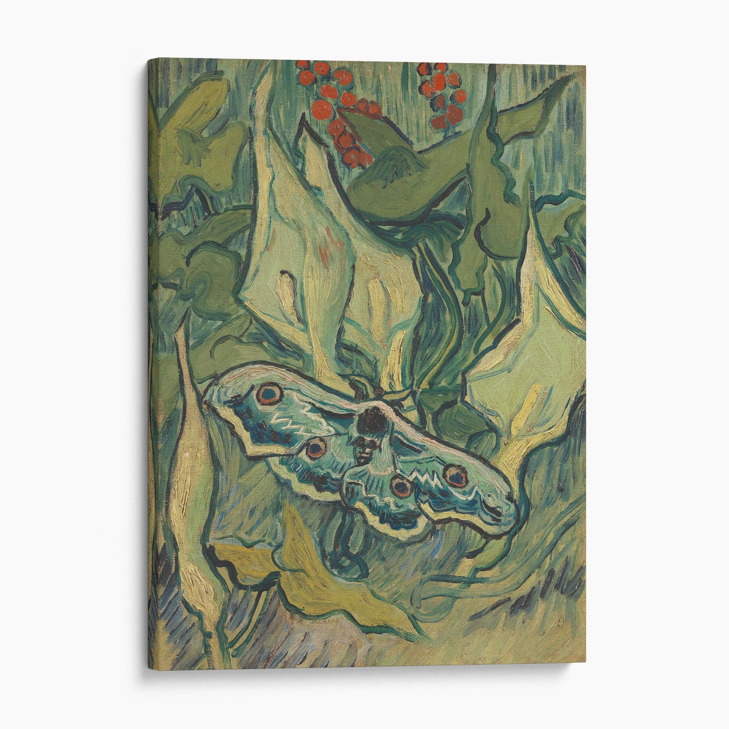 Giant Peacock Moth, 1889 by Van Gogh