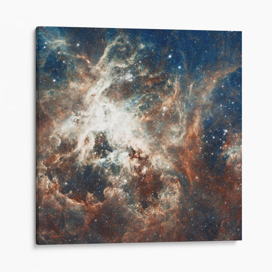 Prolific Star-Forming Region, 30 Doradus (Tarantula Nebula) (Hubble Space Telescope)