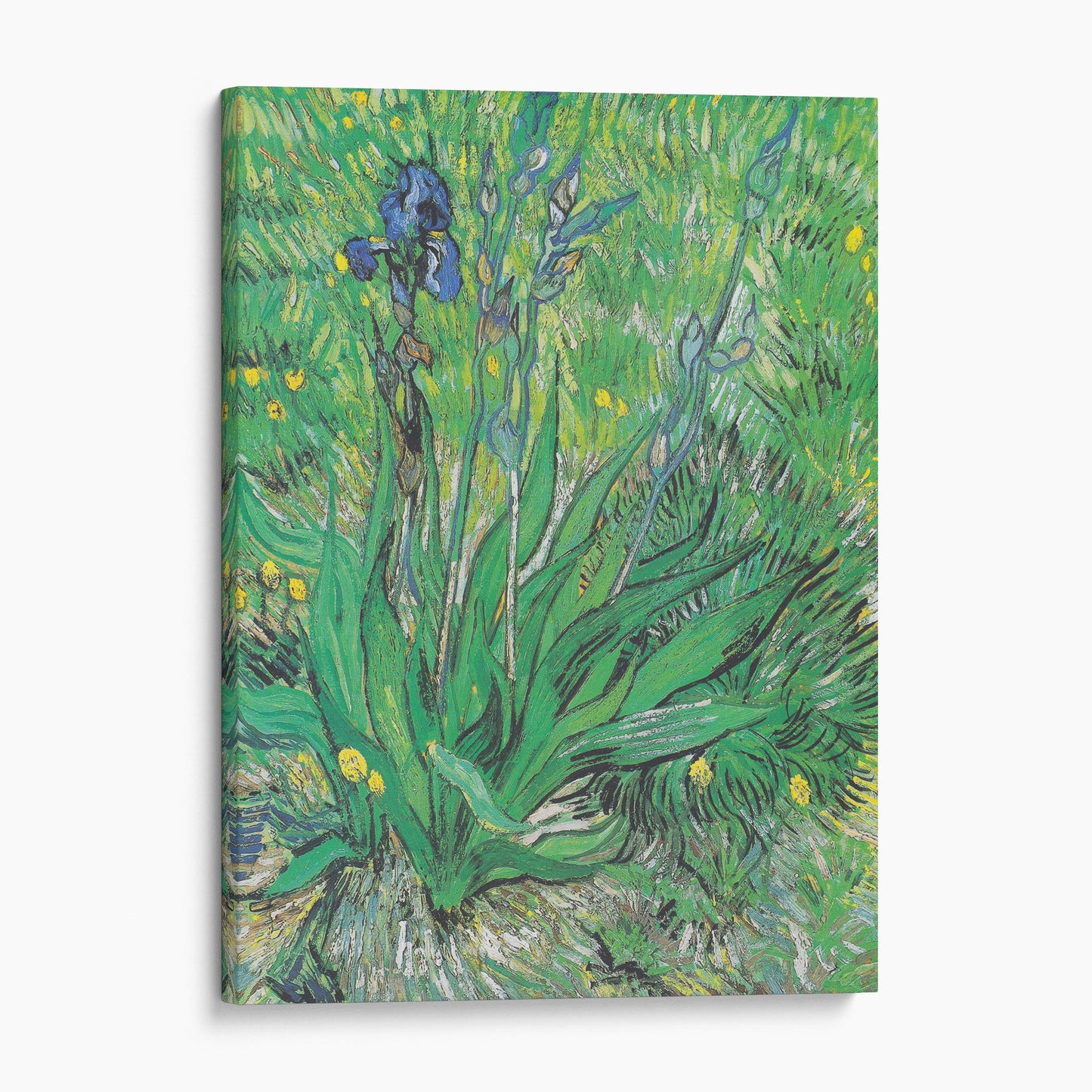 Iris 1889 - Van Gogh