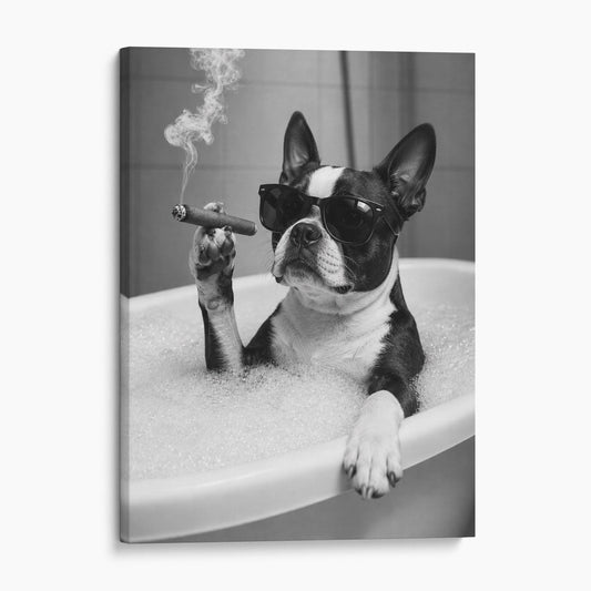 Boston Terrier Dog Bathtub Cigar