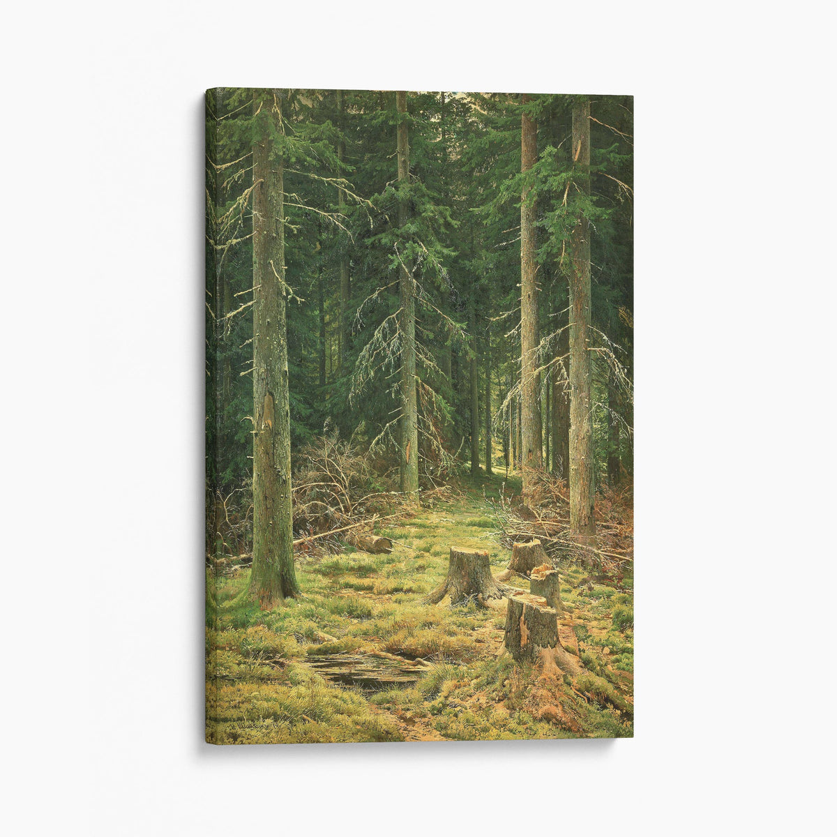Coniferous Forest (1873) - Ivan Shishkin