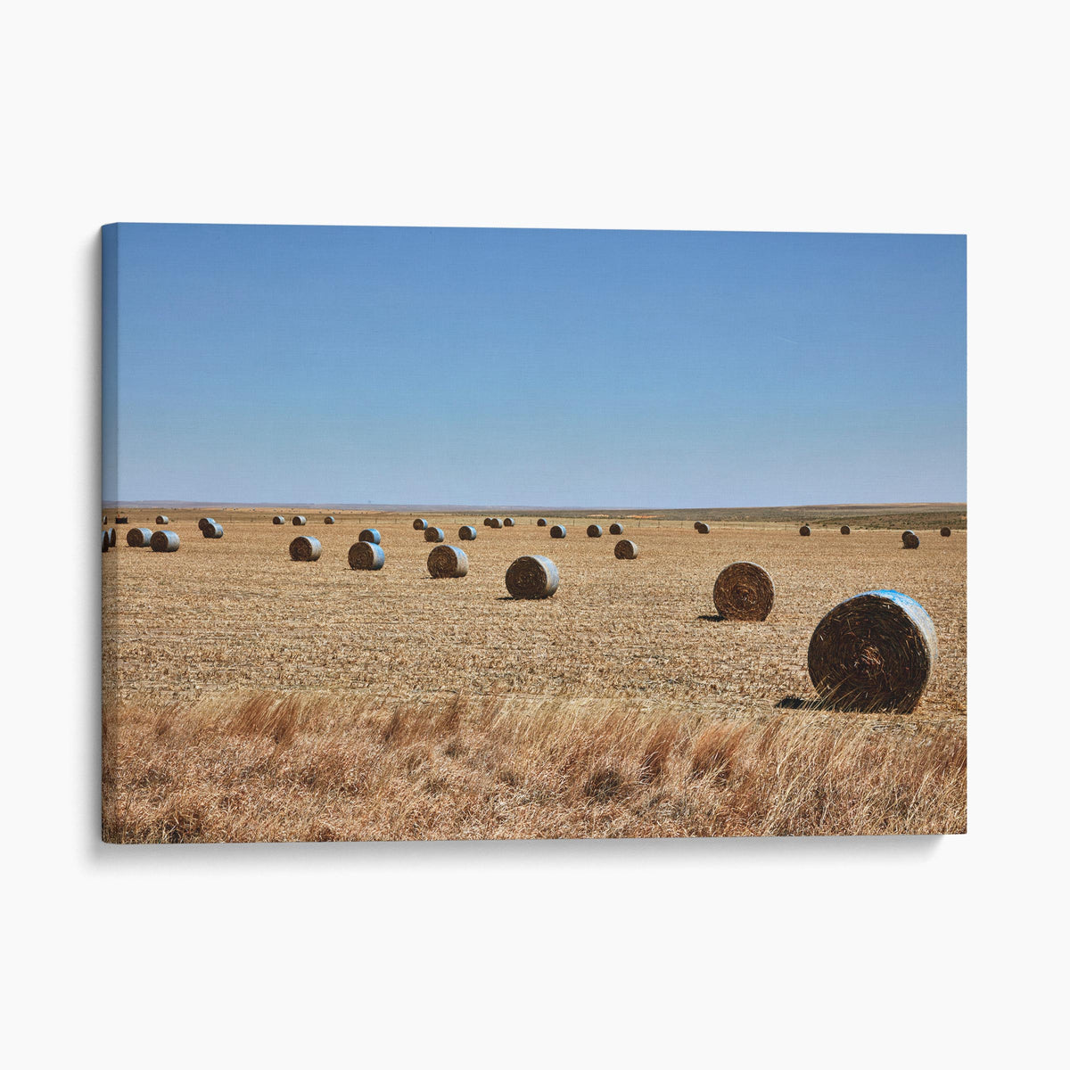 Hay Rolls Field