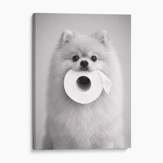 Pomeranian Dog Toilet Paper
