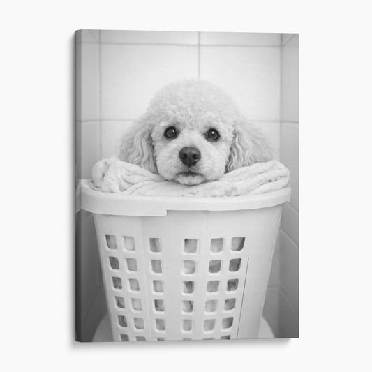 Poodle Dog Laundry