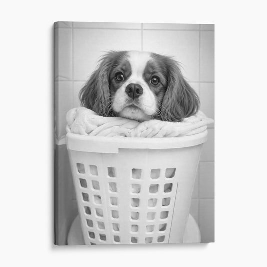 Cavalier King Charles Spaniel Dog Laundry