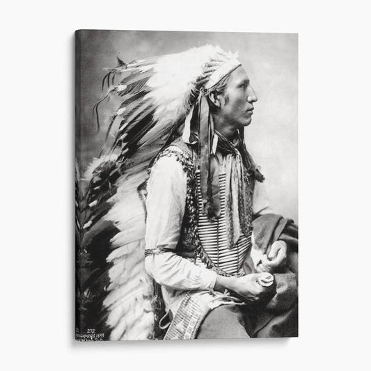 Chief John Comes Again of the Lakota 1899