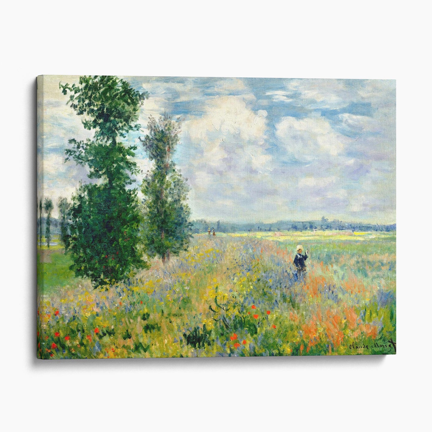 Poppy Fields Near Argenteuil by Claude Monet