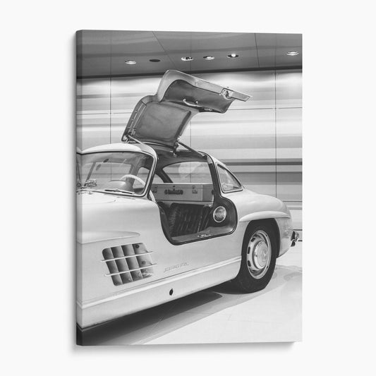 Mercedes Benz 300 SL Wing Doors