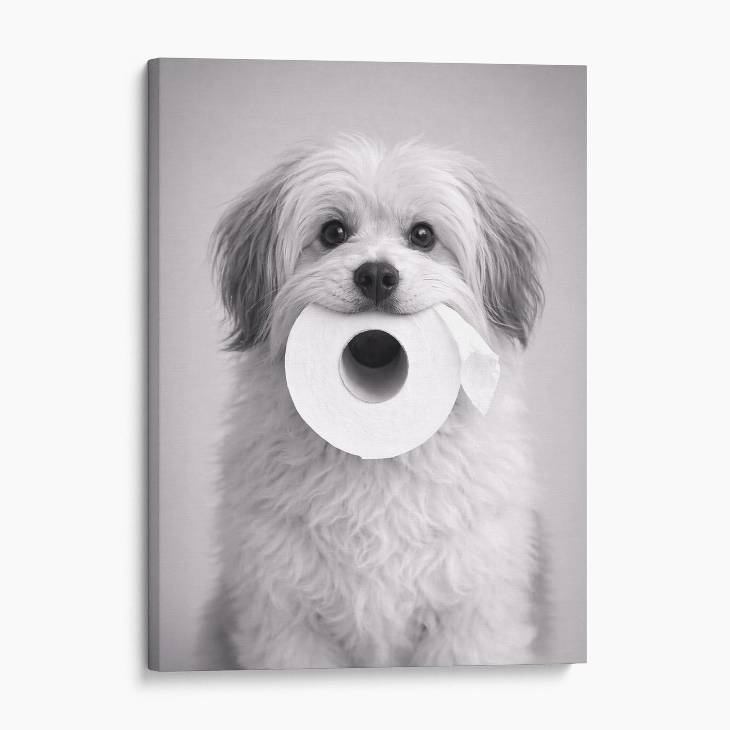Havanese Dog Toilet Paper