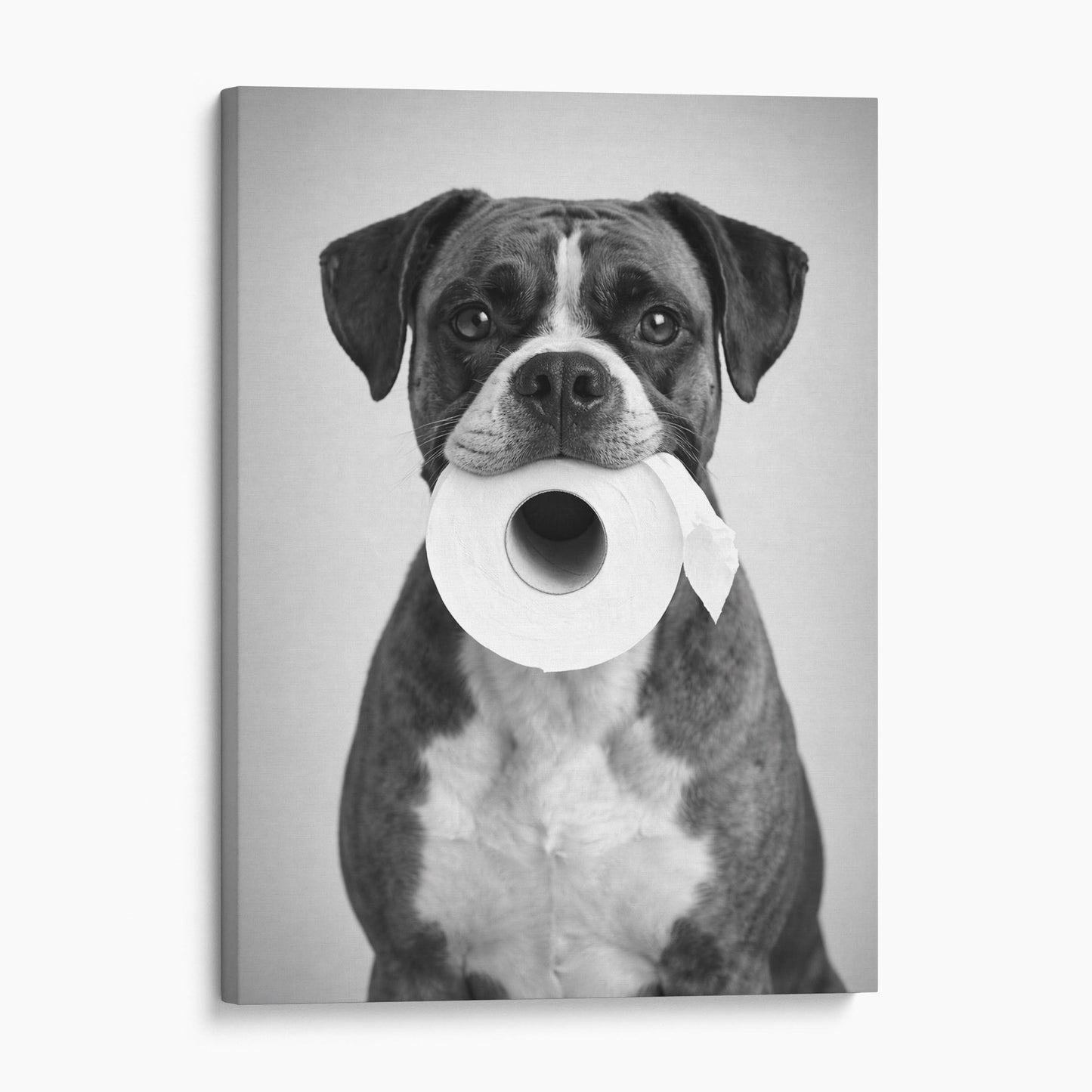 Boxer Dog Toilet Paper