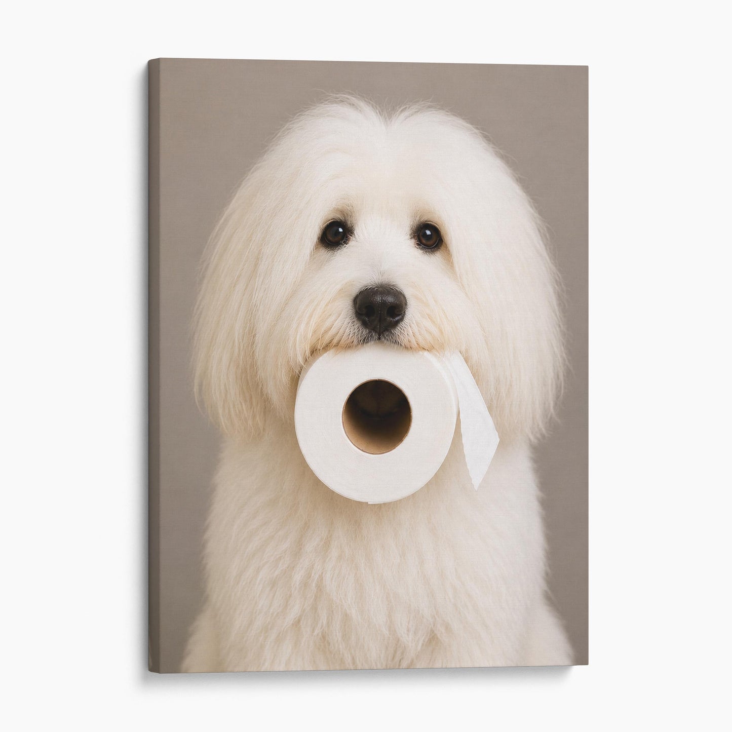 Coton de Tulear Dog Toilet Paper