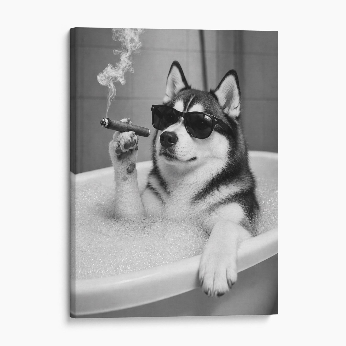 Siberian Husky Dog Bathtub Cigar