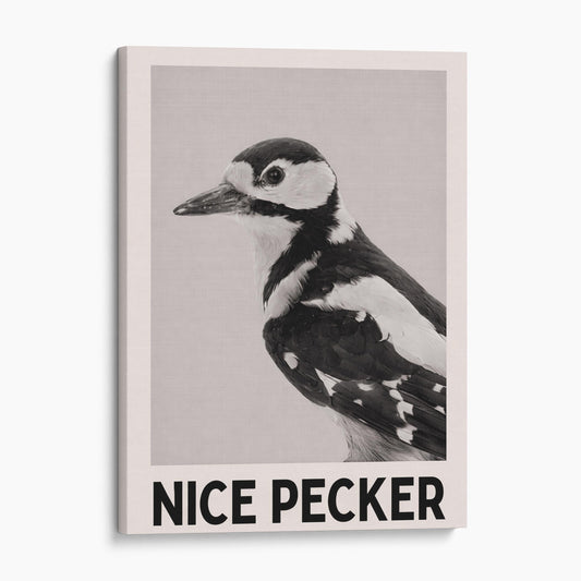 Nice Pecker - Birds Bathroom Sign