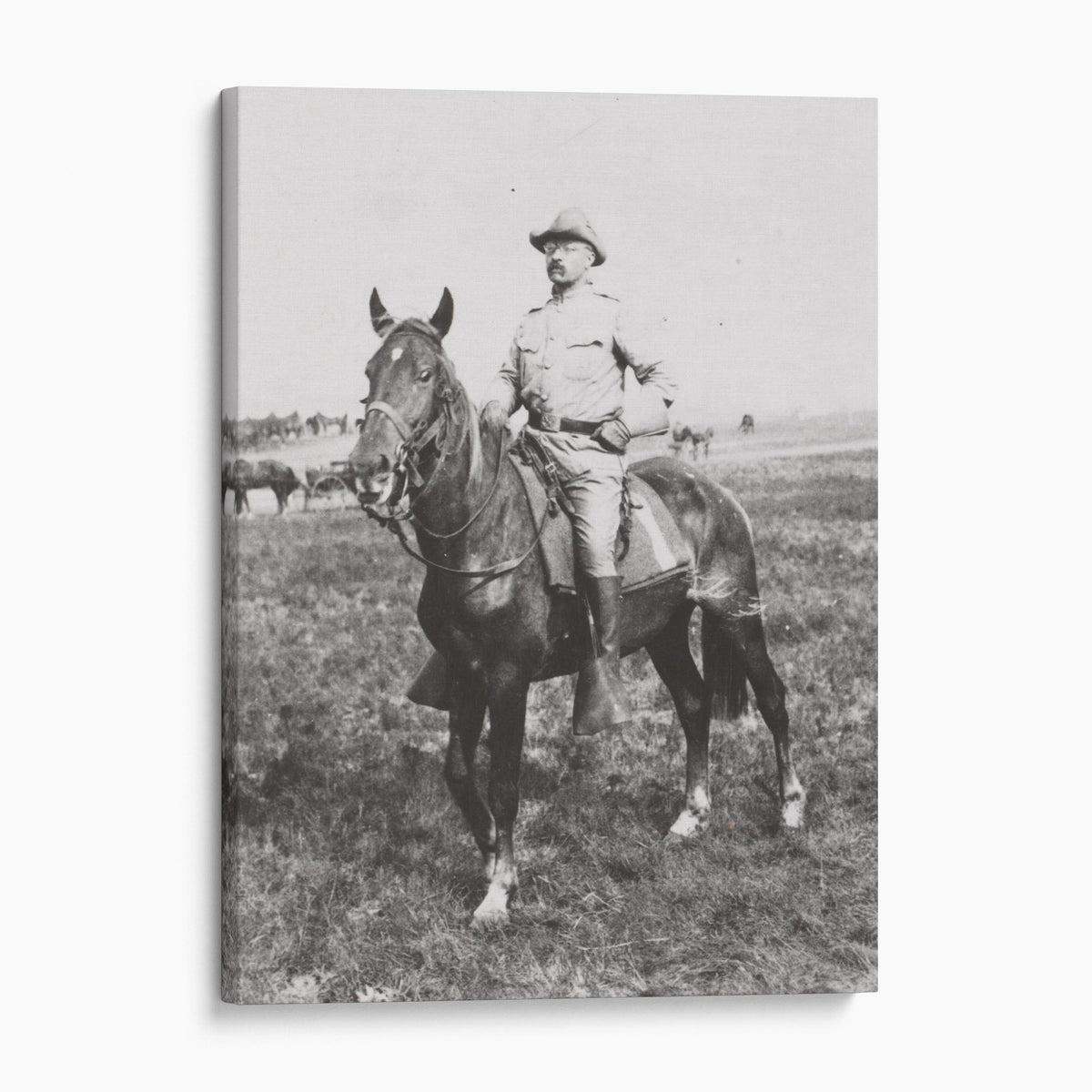 Col. Theodore "Teddy" Roosevelt of The Rough Riders