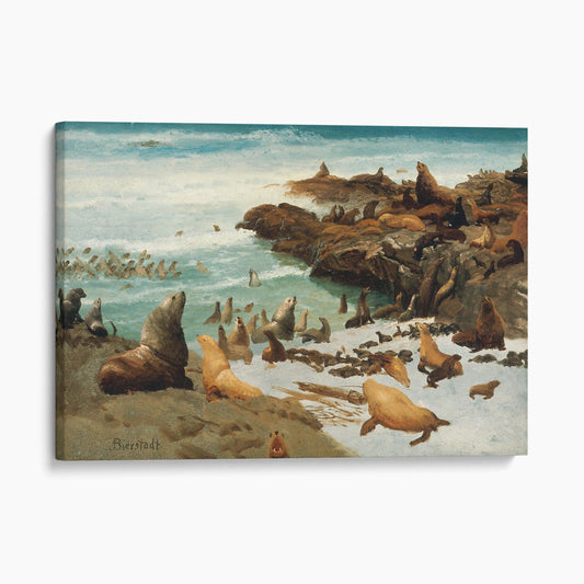 Seal Rocks, Farallons 1872 by Albert Bierstadt