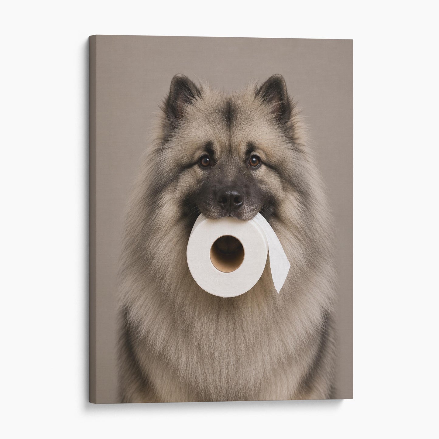 Keeshond Dog Toilet Paper