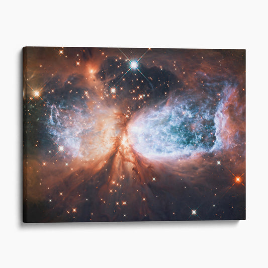 Celestial Snow Angel S106 Nebula (NASA Hubble Space Telescope)