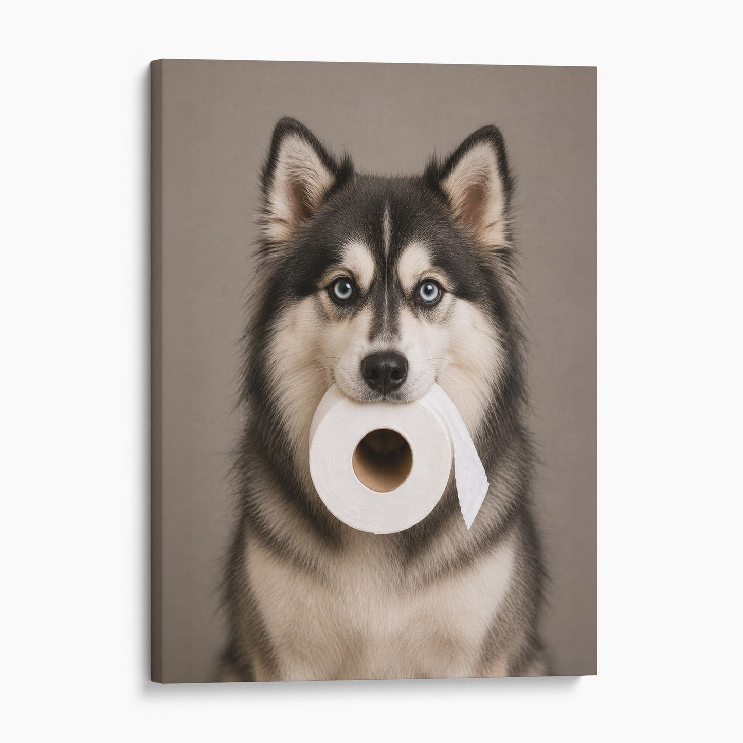 Pomsky Dog Toilet Paper