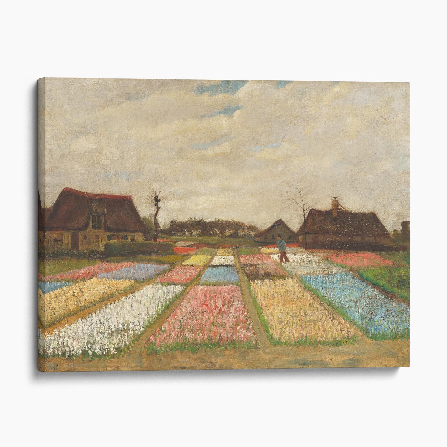 Bulb Fields by Van Gogh