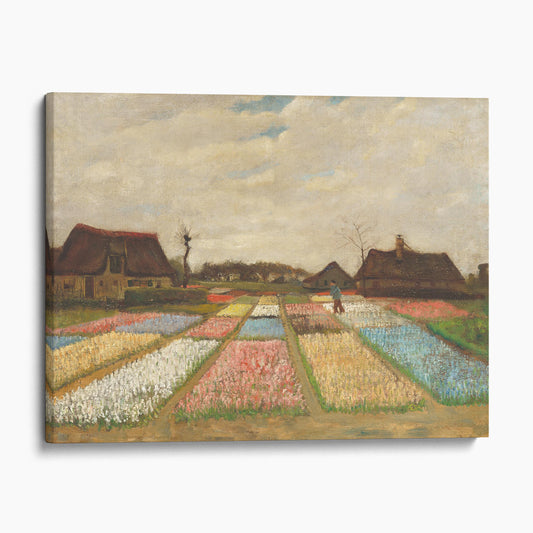 Bulb Fields by Van Gogh