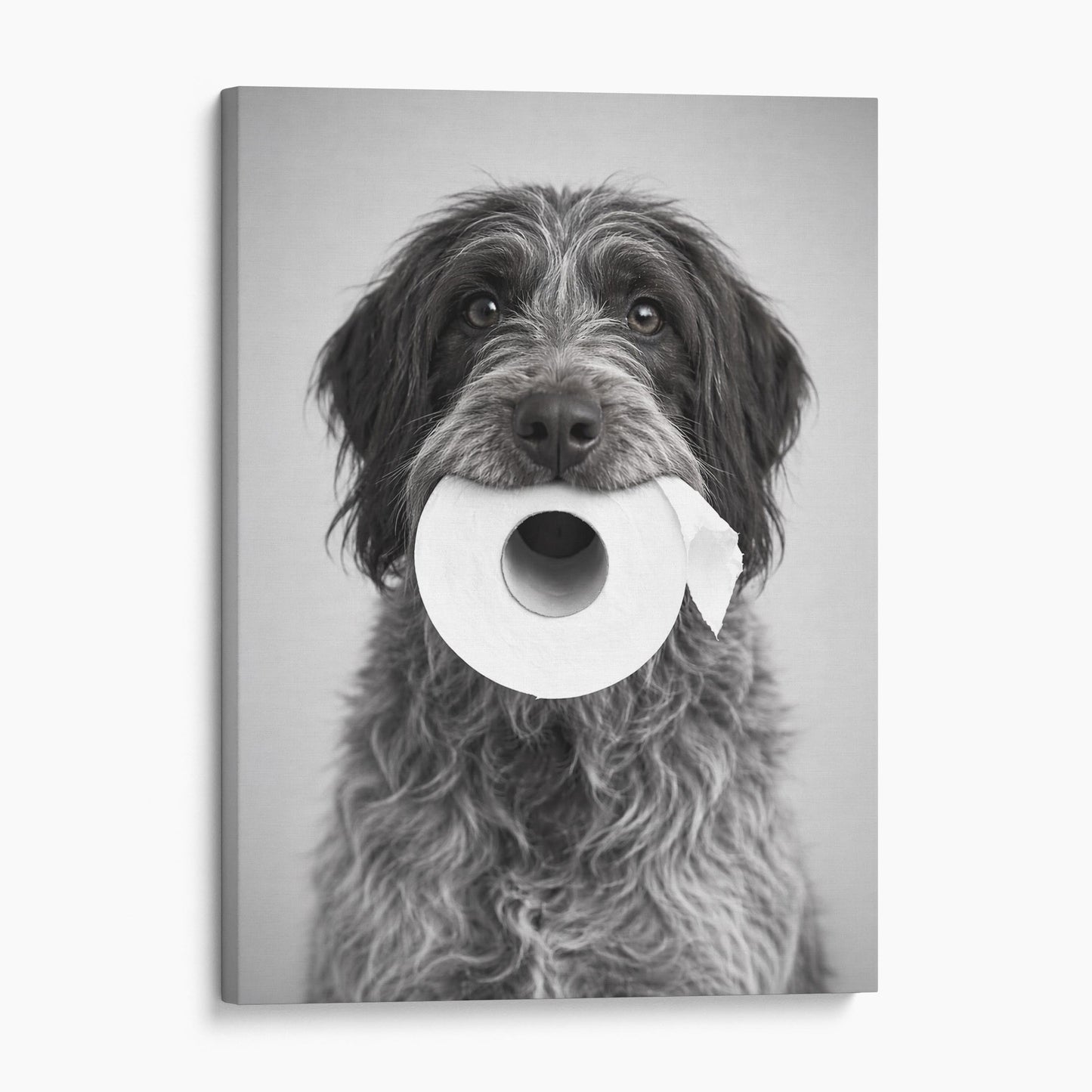 Wirehaired Pointing Griffon Dog Toilet Paper