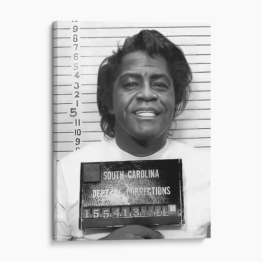 James Brown Prison Mugshot