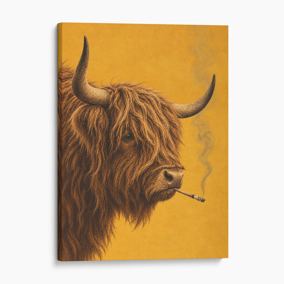 Highland Cow Smoking