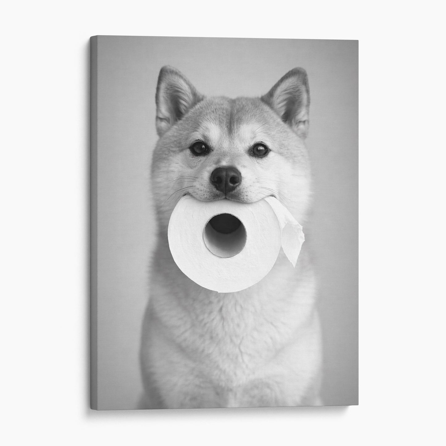 Shiba Inu Dog Toilet Paper