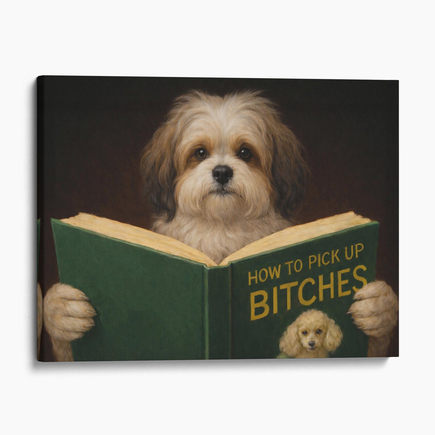 Havanese Dog Reading Dating Book