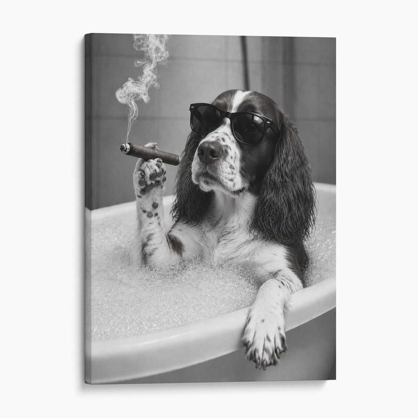 English Springer Spaniel Dog Bathtub Cigar