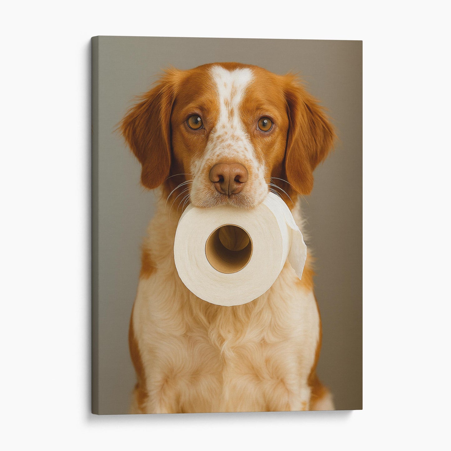 Brittany Dog Toilet Paper