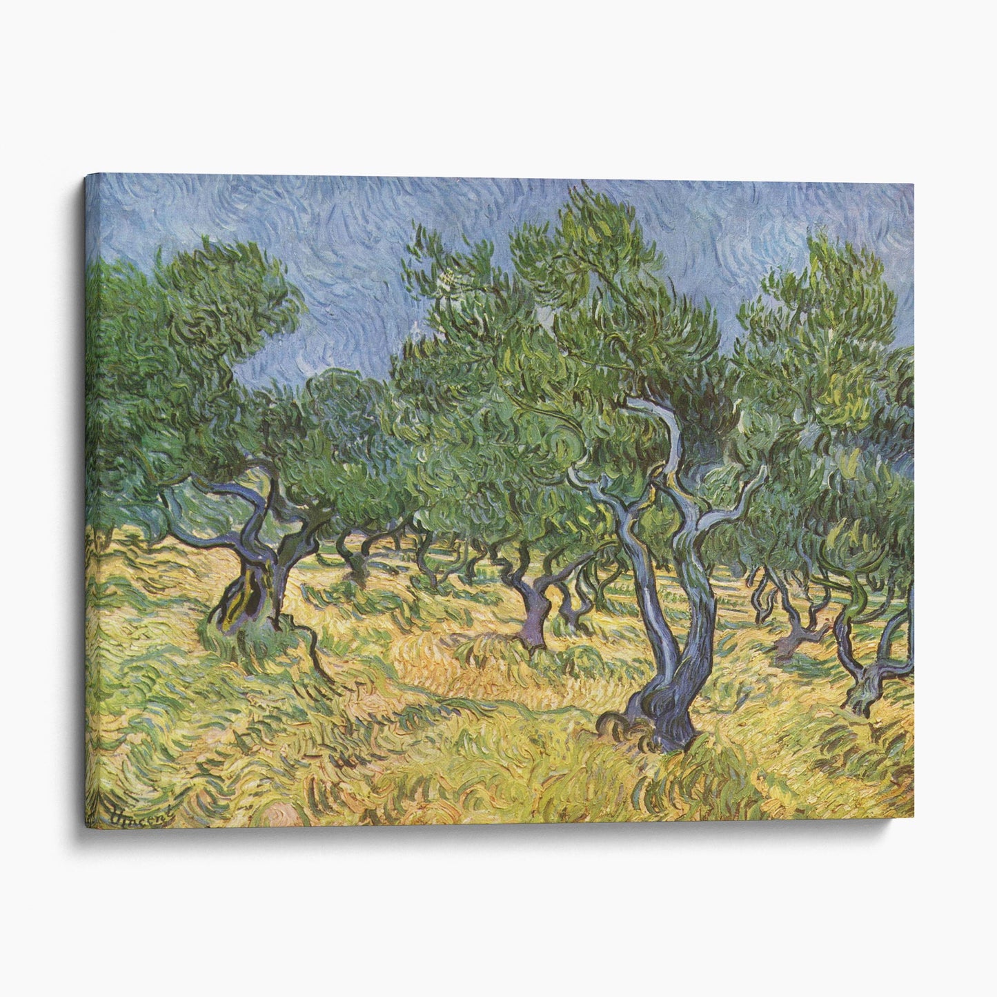 The Olive Grove by Van Gogh