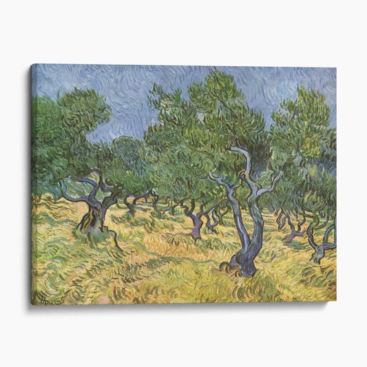 The Olive Grove by Van Gogh