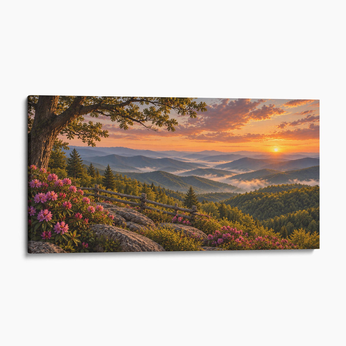 Blue Ridge Mountains, North Carolina