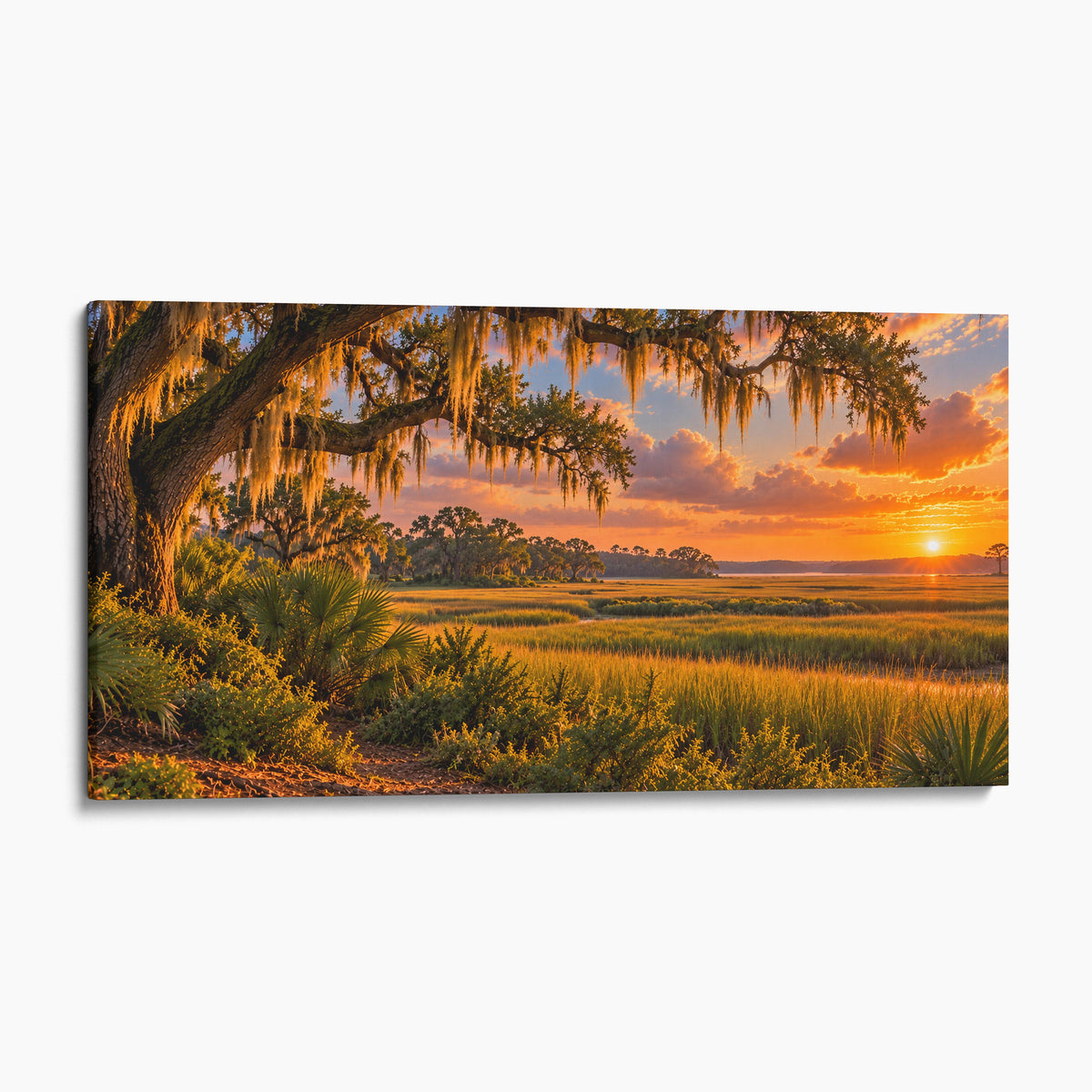 South Carolina Lowcountry