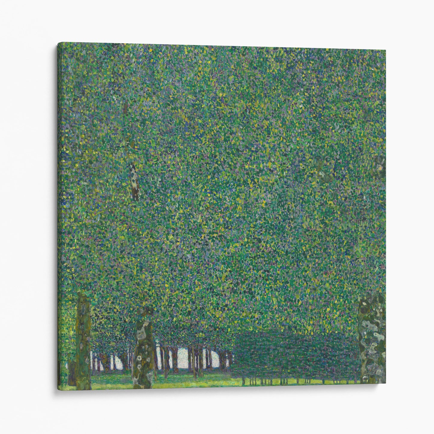 The Park, 1910 - Gustav Klimt