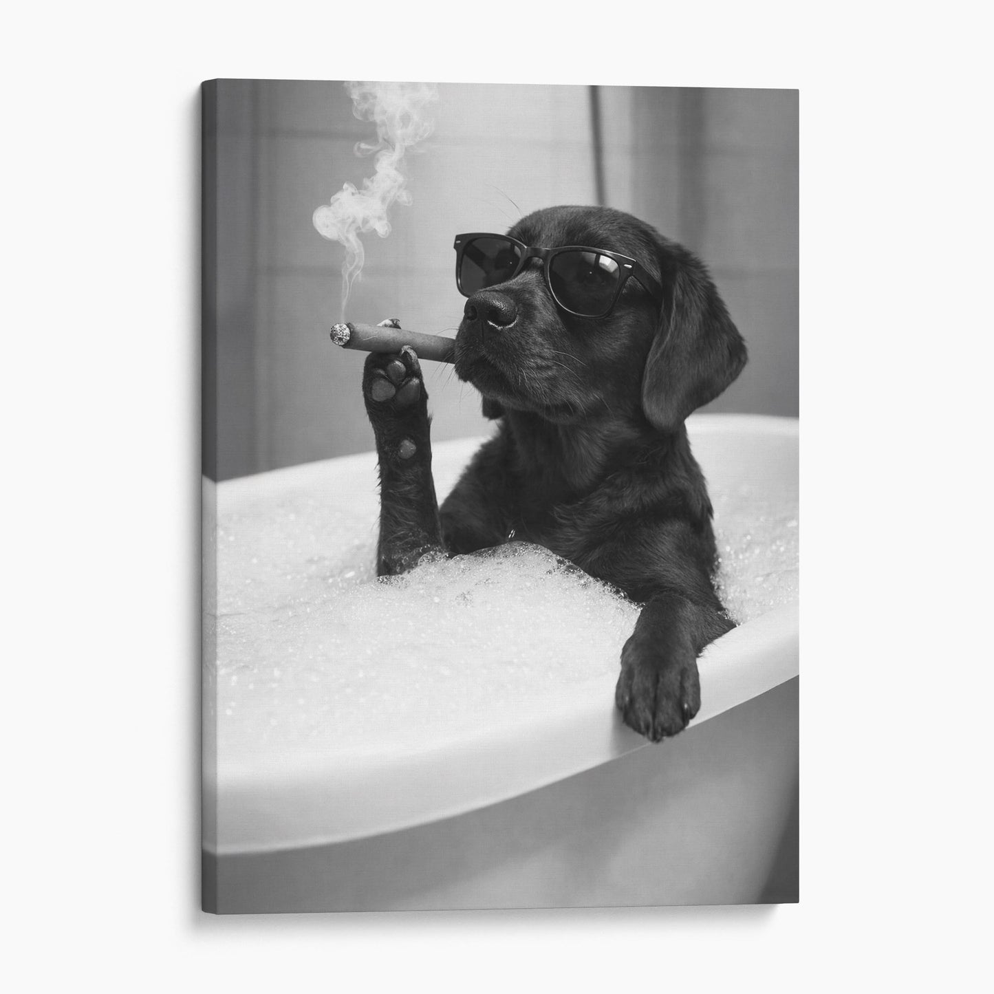 Black Labrador Retriever Dog Bathtub Cigar