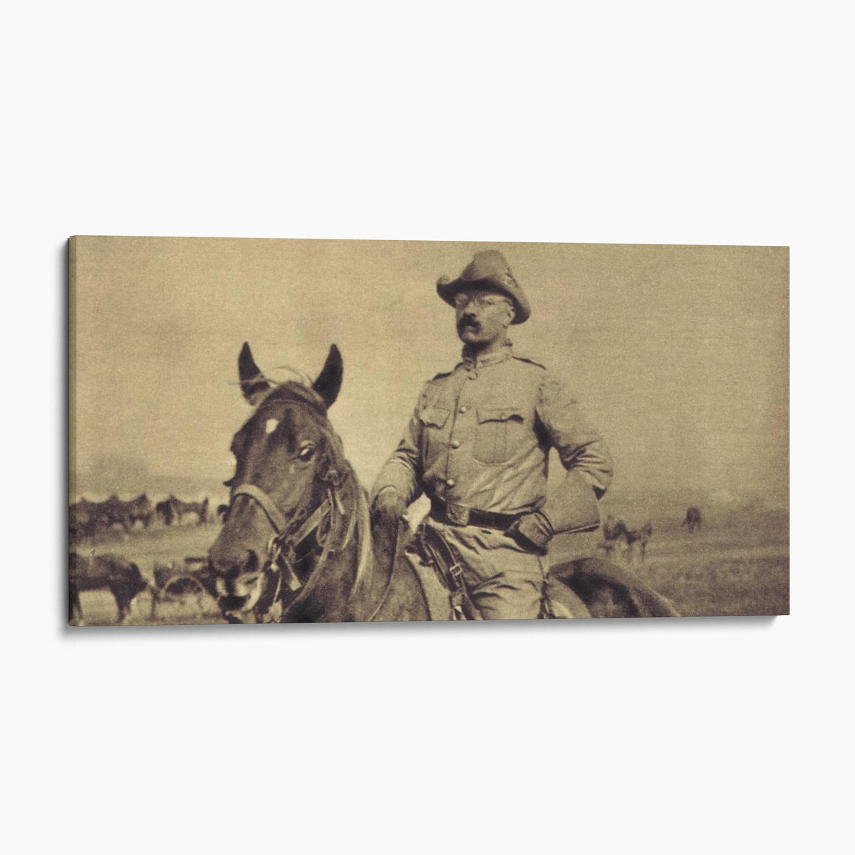 Teddy Roosevelt Rough Rider