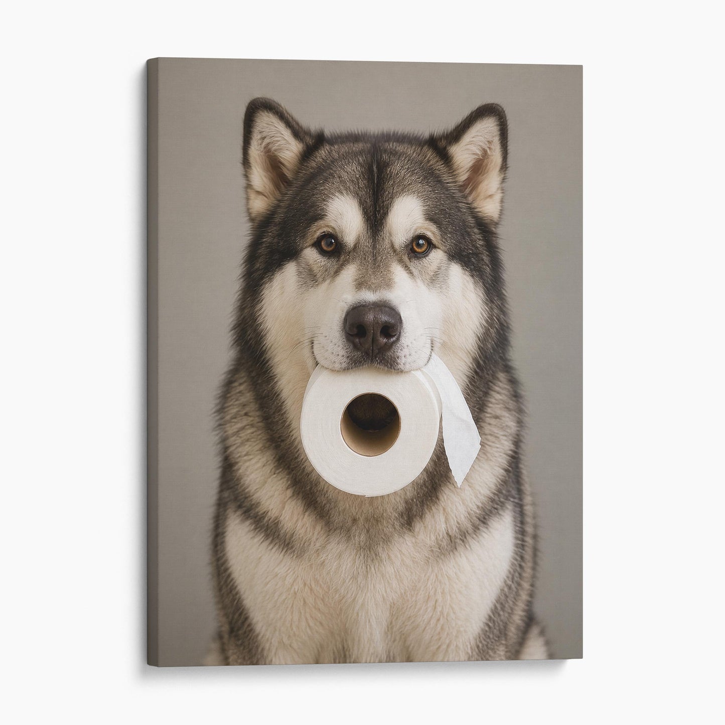 Alaskan Malamute Dog Toilet Paper