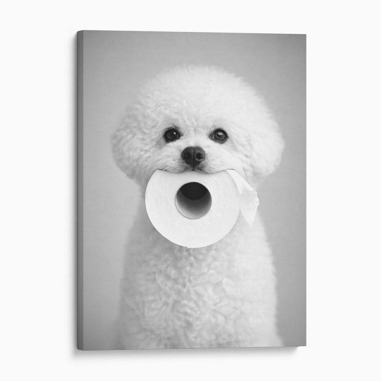 Bichon Frise Toilet Paper