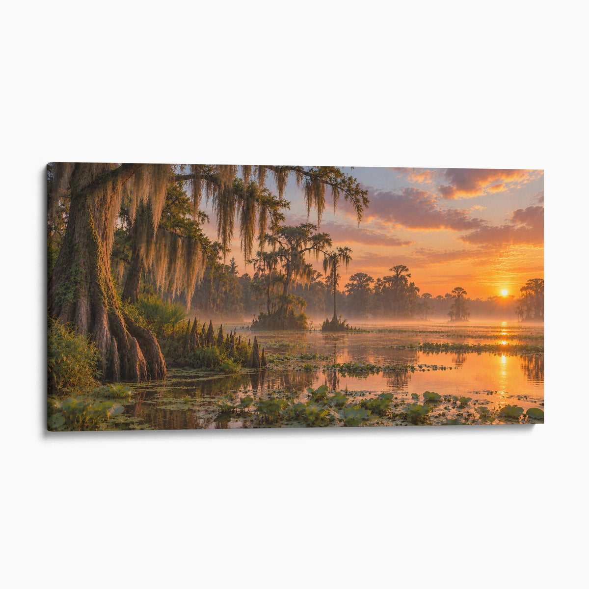 Louisiana Bayou